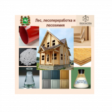 Томский лесопромышленный кластер презентован в рамках программы Минпромторга «PROКЛАСТЕРЫ»
